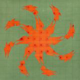 Andy Martin - Tierra de Nahuales