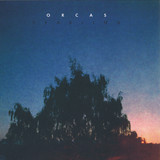 Orcas - Yearling
