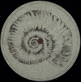 Roberto - Perisphinctes / Tiziani