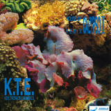 Key Tronics Ensemble - House Of Calypso