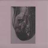 Reeko - For The Right Hemisphere Brain Damage