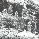 Acronym & Korridor - Untitled