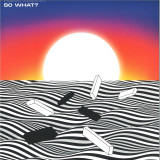 Herr Krank - So What?