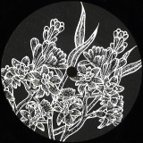 Alessandro Crimi - Moonward EP