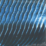 Monolake - Gravity Lp 2x12"