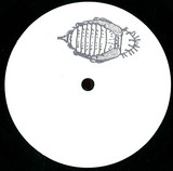Anonymous - Pupa