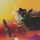 Motion Graphics - Motion Graphics (lp+mp3)