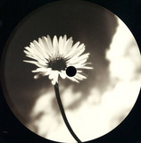 Sacke / Lumieux - Mai Mult Decat Atat