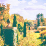 Poemme - Moments in Golden Light