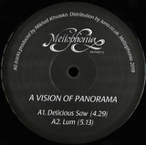 A Vision Of Panorama - Delicious Saw