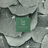 Technasia - Evergreen