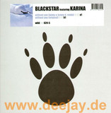 Blackstar Feat. Karina - Without You
