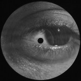 Rhys Celeste - Microlith VI 2x12"