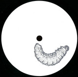 Anonymous - Larva