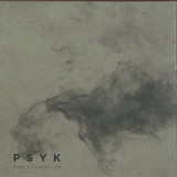 Psyk - Time Foundation 2x12"