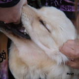 Christian Fennesz & Jim O'rourke - It's Hard For Me To Say I'm Sorry Cd