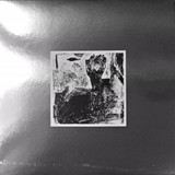 Golden Oriole - Golden Oriole