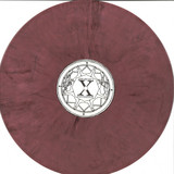 The Secret Initiative - X