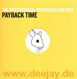 Dysfunctional Psychedelic - Payback Time