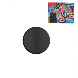 Numbat - Southern Exposure