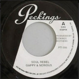 Gappy & Nerious / Mikey Spice - Soul Rebel / Roller Coaster