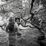 Dao Strom - Tender Revolutions