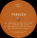 Pangaea - New Shapes In The Air