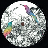 A Vision Of Panorama - Two Birds