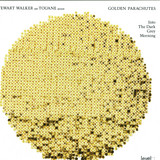 Stewart Walker And Touane Presents The Golden Parachutes - Into The Dark Grey Morning