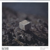 Inter Gritty - Rino14