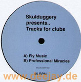 Skulduggery Pts Fly - Fly Music Remix