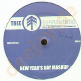Dj Icey - New Years Day Mash Up