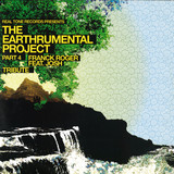 Franck Roger - Earthtrumental Project 4