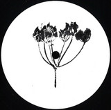 Alex.Do - Plangent#011