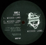 Onlyjoe, Radikal Guru, Sleepy Time Ghost, Russ Disciples - Wicked Land
