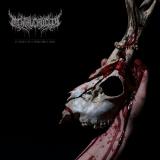 Mental Cruelty - Echoes of a Forlorn Land LP