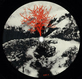 Thomas A.S. - North Lake