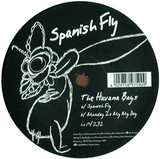 The Havana Boys - Spanish Fly