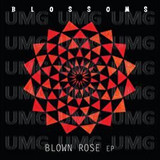 Blossoms - Blown Rose