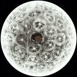 Ali Asker - Papaver Somniferum Ep