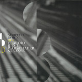 Claudio Ricci - Warschauer Strasse