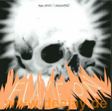 Chicks On Speed / Mika Vainio - Flame On 10"