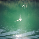 MRD - Løvehjerte 2x12"