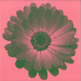 ZG - Into The Unknown LP