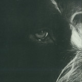 Panthera Krause - Yorikke Ep