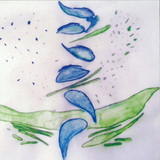 Fis - Iterations