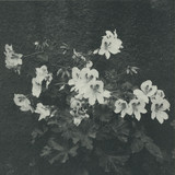 Cromby - Planets And Parks Ep