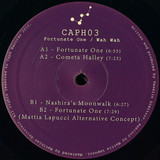 Wah Wah - Fortunate One