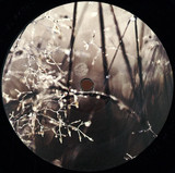 Gimenö & Stefan Helmke - Blueten 001