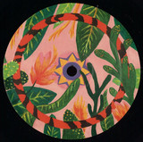 Amazon Club - Save Our Paradise